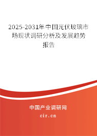 2025-2031年中國光伏玻璃市場現(xiàn)狀調(diào)研分析及發(fā)展趨勢報(bào)告