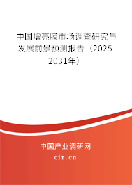中國增亮膜市場調(diào)查研究與發(fā)展前景預(yù)測報告（2025-2031年）