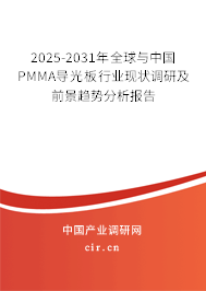 2025-2031年全球與中國PMMA導(dǎo)光板行業(yè)現(xiàn)狀調(diào)研及前景趨勢分析報告