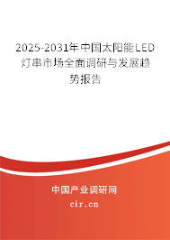 2025-2031年中國太陽能LED燈串市場全面調(diào)研與發(fā)展趨勢報告