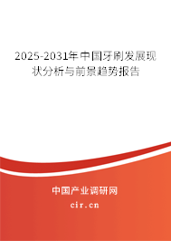 2025-2031年中國(guó)牙刷發(fā)展現(xiàn)狀分析與前景趨勢(shì)報(bào)告