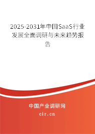 2025-2031年中國SaaS行業(yè)發(fā)展全面調(diào)研與未來趨勢(shì)報(bào)告