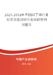 2025-2031年中國異丁烯行業(yè)現(xiàn)狀深度調(diào)研與發(fā)展趨勢預(yù)測報告