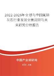 2022-2028年全球與中國(guó)氟磷灰石行業(yè)發(fā)展全面調(diào)研與未來(lái)趨勢(shì)分析報(bào)告