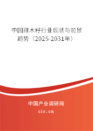 中國辣木籽行業(yè)現(xiàn)狀與前景趨勢（2025-2031年）