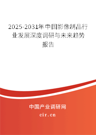 2025-2031年中國(guó)影像制品行業(yè)發(fā)展深度調(diào)研與未來(lái)趨勢(shì)報(bào)告