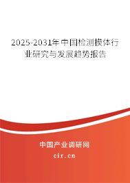 2025-2031年中國檢測模體行業(yè)研究與發(fā)展趨勢報告