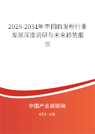 2025-2031年中國自發(fā)粉行業(yè)發(fā)展深度調(diào)研與未來趨勢報告