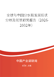 全球與中國分水鞍發(fā)展現(xiàn)狀分析及前景趨勢報告（2026-2032年）