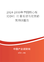 2024-2030年中國核心板（COM）行業(yè)現(xiàn)狀與前景趨勢預(yù)測報(bào)告