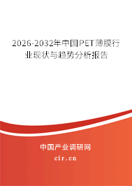 2026-2032年中國PET薄膜行業(yè)現(xiàn)狀與趨勢分析報告