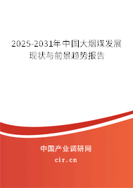 2025-2031年中國大煙煤發(fā)展現(xiàn)狀與前景趨勢(shì)報(bào)告