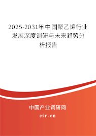 2025-2031年中國聚乙烯行業(yè)發(fā)展深度調(diào)研與未來趨勢分析報告
