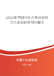 2025年中國PVC市場調(diào)查研究與發(fā)展趨勢預(yù)測報(bào)告
