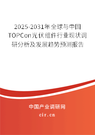 2025-2031年全球與中國TOPCon光伏組件行業(yè)現(xiàn)狀調(diào)研分析及發(fā)展趨勢預(yù)測報告