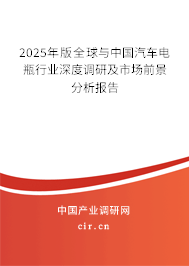2025年版全球與中國(guó)汽車電瓶行業(yè)深度調(diào)研及市場(chǎng)前景分析報(bào)告