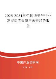 2025-2031年中國(guó)迪美唑行業(yè)發(fā)展深度調(diào)研與未來(lái)趨勢(shì)報(bào)告