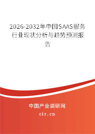 2026-2032年中國SAAS服務(wù)行業(yè)現(xiàn)狀分析與趨勢預(yù)測報告