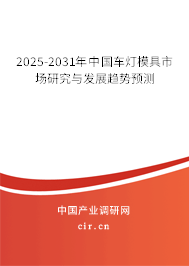 2025-2031年中國(guó)車燈模具市場(chǎng)研究與發(fā)展趨勢(shì)預(yù)測(cè)