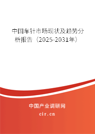 中國車針市場現(xiàn)狀及趨勢分析報告（2025-2031年）