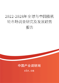2022-2028年全球與中國腹肌輪市場調(diào)查研究及發(fā)展趨勢報告