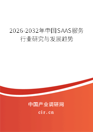 2026-2032年中國(guó)SAAS服務(wù)行業(yè)研究與發(fā)展趨勢(shì)
