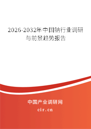 2026-2032年中國鈉行業(yè)調(diào)研與前景趨勢(shì)報(bào)告
