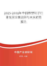 2025-2031年中國橡塑輪子行業(yè)發(fā)展全面調(diào)研與未來趨勢報(bào)告