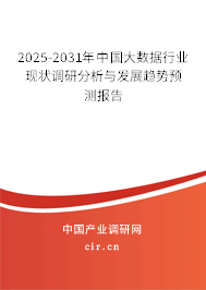 2025-2031年中國大數(shù)據(jù)行業(yè)現(xiàn)狀調(diào)研分析與發(fā)展趨勢預(yù)測報告