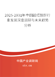 2025-2031年中國靛紅酸酐行業(yè)發(fā)展深度調研與未來趨勢分析