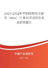 2025-2031年中國管理安全服務(wù)（mss）行業(yè)現(xiàn)狀調(diào)研及發(fā)展趨勢報告