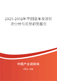2025-2031年中國童車發(fā)展現(xiàn)狀分析與前景趨勢報告