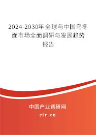2024-2030年全球與中國烏冬面市場全面調研與發(fā)展趨勢報告