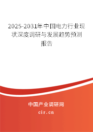 2025-2031年中國(guó)電力行業(yè)現(xiàn)狀深度調(diào)研與發(fā)展趨勢(shì)預(yù)測(cè)報(bào)告