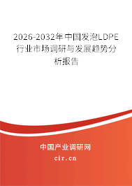 2026-2032年中國(guó)發(fā)泡LDPE行業(yè)市場(chǎng)調(diào)研與發(fā)展趨勢(shì)分析報(bào)告