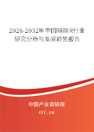 2026-2032年中國輔酶R行業(yè)研究分析與發(fā)展趨勢報告