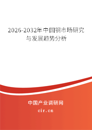 2026-2032年中國鋼市場研究與發(fā)展趨勢分析