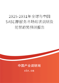 2025-2031年全球與中國SASE即服務(wù)市場現(xiàn)狀調(diào)研及前景趨勢預(yù)測報(bào)告
