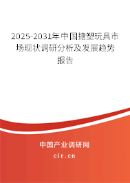2025-2031年中國搪塑玩具市場現(xiàn)狀調研分析及發(fā)展趨勢報告