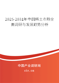 2025-2031年中國(guó)稀土市場(chǎng)全面調(diào)研與發(fā)展趨勢(shì)分析