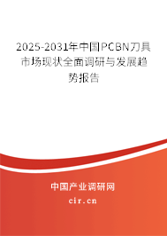 2025-2031年中國PCBN刀具市場現(xiàn)狀全面調(diào)研與發(fā)展趨勢報告
