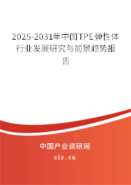 2025-2031年中國TPE彈性體行業(yè)發(fā)展研究與前景趨勢報告