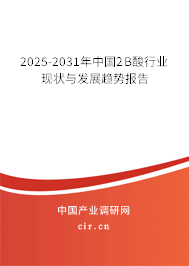2025-2031年中國(guó)2B酸行業(yè)現(xiàn)狀與發(fā)展趨勢(shì)報(bào)告