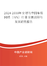 2024-2030年全球與中國車載網(wǎng)絡(luò)（IVN）行業(yè)全面調(diào)研與發(fā)展趨勢報告