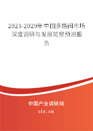 2023-2029年中國多路閥市場深度調(diào)研與發(fā)展前景預(yù)測報(bào)告