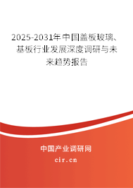 2025-2031年中國(guó)蓋板玻璃、基板行業(yè)發(fā)展深度調(diào)研與未來(lái)趨勢(shì)報(bào)告