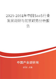 2025-2031年中國SaaS行業(yè)發(fā)展調(diào)研與前景趨勢分析報(bào)告