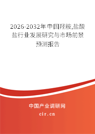 2026-2032年中國(guó)羥胺,鹽酸鹽行業(yè)發(fā)展研究與市場(chǎng)前景預(yù)測(cè)報(bào)告