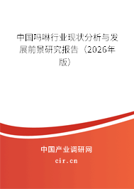 中國嗎啉行業(yè)現(xiàn)狀分析與發(fā)展前景研究報告（2026年版）