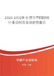 2026-2032年全球與中國(guó)醚胺行業(yè)調(diào)研及發(fā)展趨勢(shì)報(bào)告